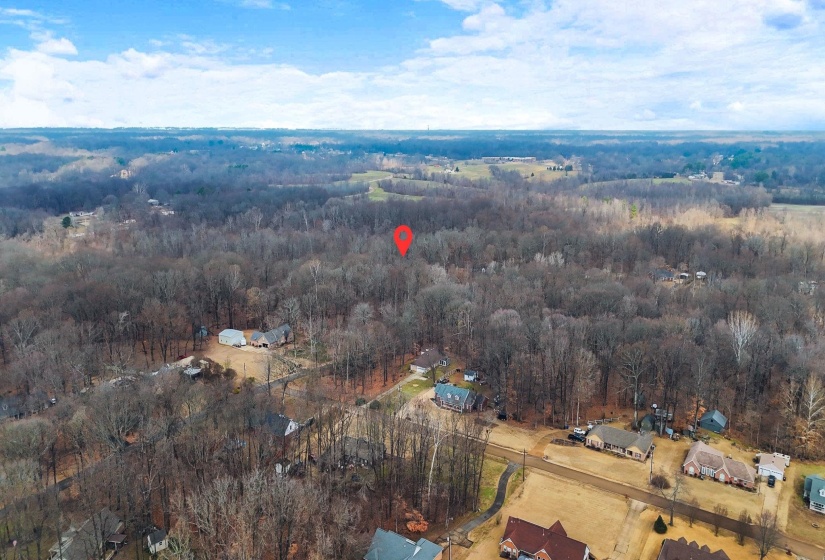 0 SUSAN'S CIR, Drummonds, Tennessee 38023, ,Land,For Sale,SUSAN'S,10212417