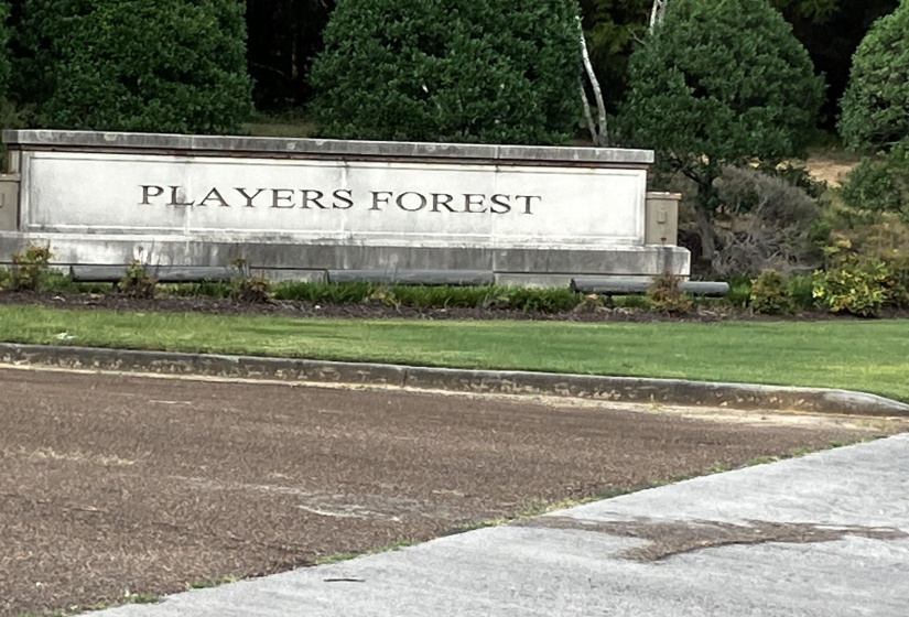 7846 PLAYERS CLUB PKY, Memphis, Tennessee 38119, ,Land,For Sale,PLAYERS CLUB,10224131