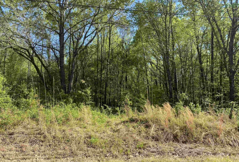 1.26 ACRES 193 HWY, Rossville, Tennessee 38066, 0 , 0 ,0,Land,For Sale,193,0,10224141