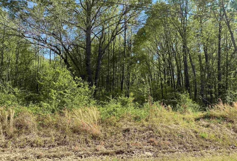 1.26 ACRES 193 HWY, Rossville, Tennessee 38066, 0 , 0 ,0,Land,For Sale,193,0,10224141