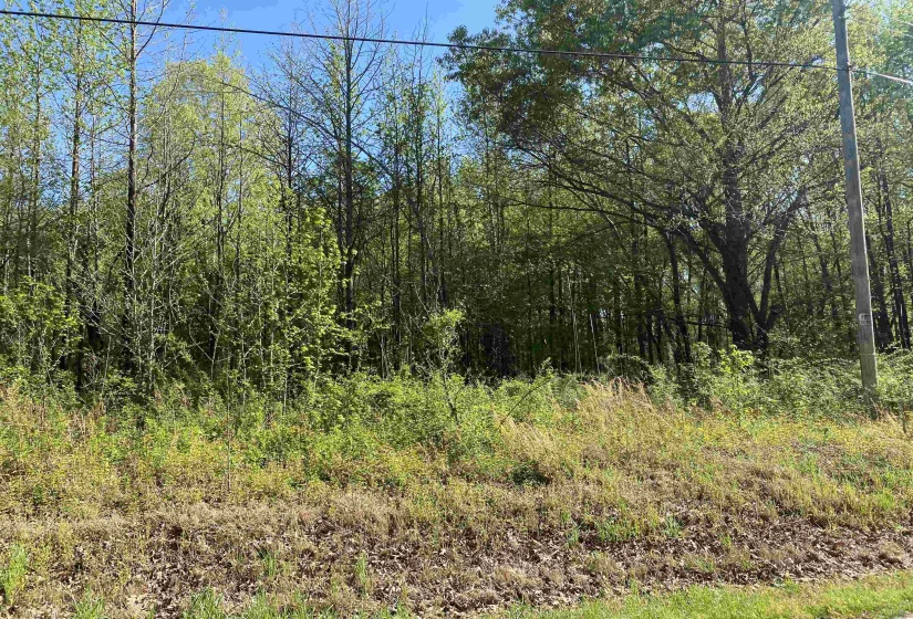 1.26 ACRES 193 HWY, Rossville, Tennessee 38066, 0 , 0 ,0,Land,For Sale,193,0,10224141