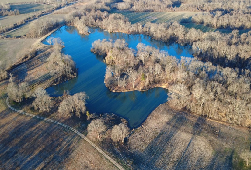4591 DELTA VIEW RD, Walls, Mississippi 38680, ,Land,For Sale,DELTA VIEW,10224170