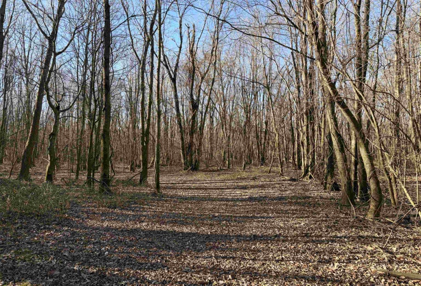 4591 DELTA VIEW RD, Walls, Mississippi 38680, ,Land,For Sale,DELTA VIEW,10224170