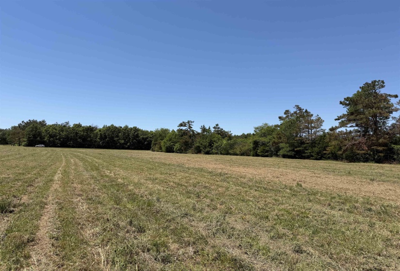 1 69 HWY, Adamsville, Tennessee 38310, ,Land,For Sale,69,10224185