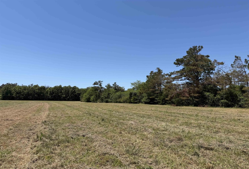 1 69 HWY, Adamsville, Tennessee 38310, ,Land,For Sale,69,10224185