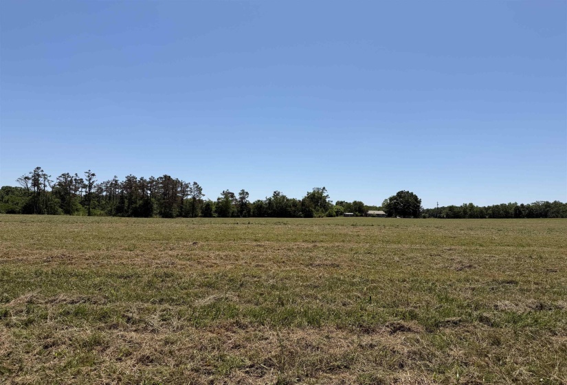 1 69 HWY, Adamsville, Tennessee 38310, ,Land,For Sale,69,10224185