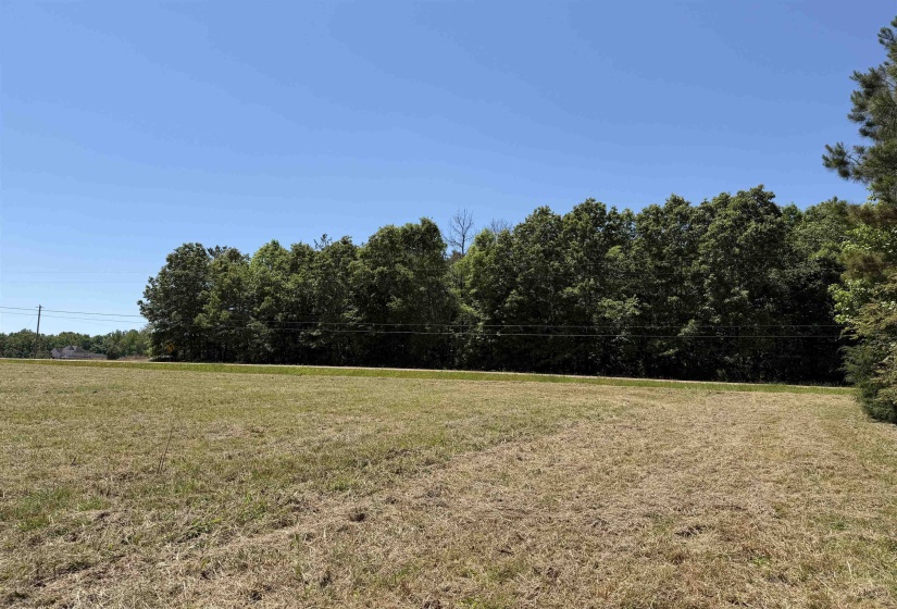 1 69 HWY, Adamsville, Tennessee 38310, ,Land,For Sale,69,10224185