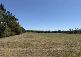 1 69 HWY, Adamsville, Tennessee 38310, ,Land,For Sale,69,10224185