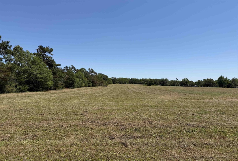1 69 HWY, Adamsville, Tennessee 38310, ,Land,For Sale,69,10224185