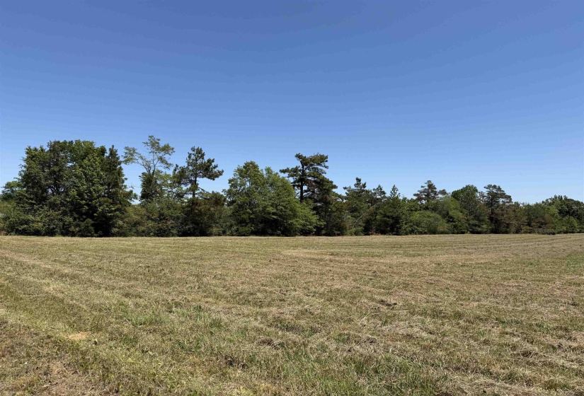 1 69 HWY, Adamsville, Tennessee 38310, ,Land,For Sale,69,10224185