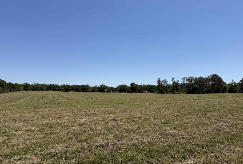1 69 HWY, Adamsville, Tennessee 38310, ,Land,For Sale,69,10224185