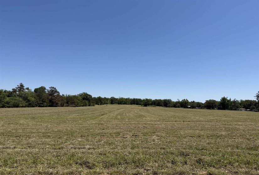 1 69 HWY, Adamsville, Tennessee 38310, ,Land,For Sale,69,10224185