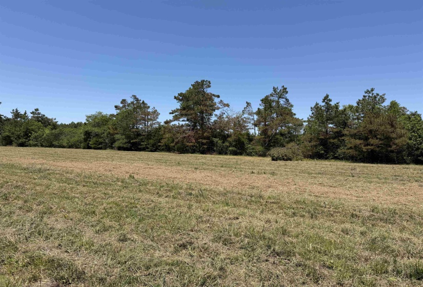 1 69 HWY, Adamsville, Tennessee 38310, ,Land,For Sale,69,10224185