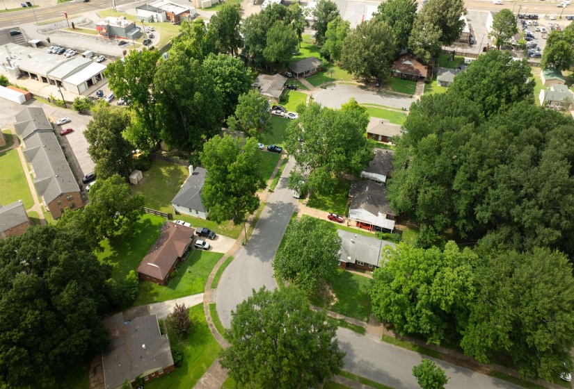 Residential street featuring a cul-de-sac, mature trees, single-story homes, and a paved road