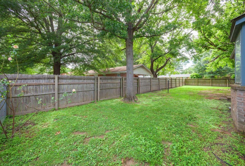Yard