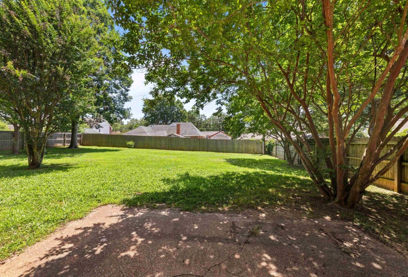 Expansive backyard featuring a manicured lawn, established shade trees, and a perimeter wood privacy fence