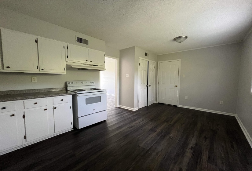 Kitchen space with white cabinetry and dark wood-finish flooring