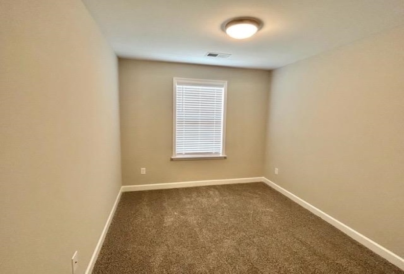Carpeted room featuring a window with blinds, a ceiling-mounted light fixture, and neutral wall paint