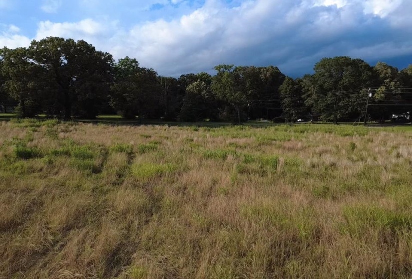 HILL AVE, Henderson, Tennessee 38340, ,Land,For Sale,HILL,10224186