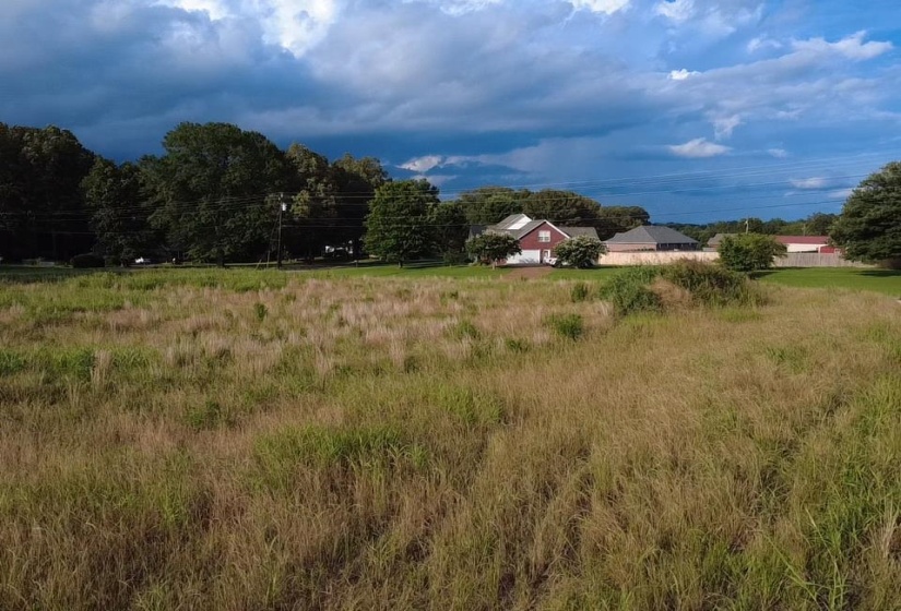 HILL AVE, Henderson, Tennessee 38340, ,Land,For Sale,HILL,10224186