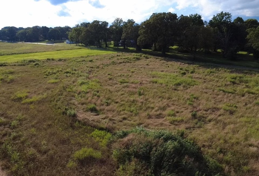 HILL AVE, Henderson, Tennessee 38340, ,Land,For Sale,HILL,10224186