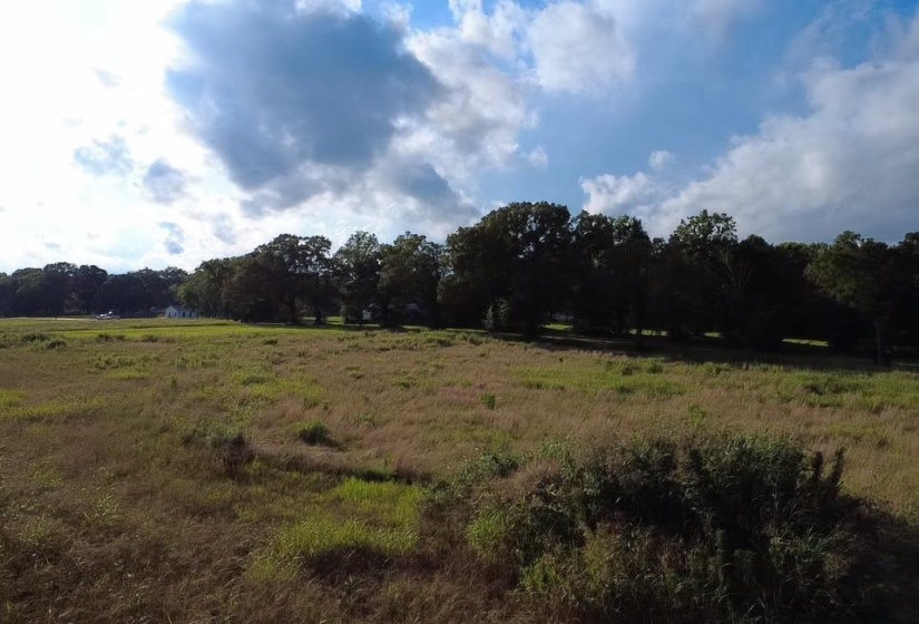 HILL AVE, Henderson, Tennessee 38340, ,Land,For Sale,HILL,10224186