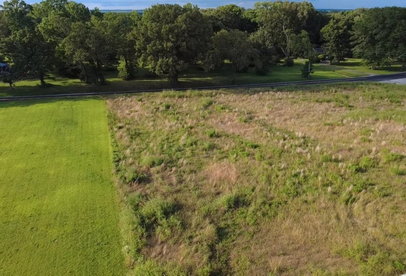 HILL AVE, Henderson, Tennessee 38340, ,Land,For Sale,HILL,10224186