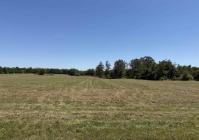 4 69 HWY, Adamsville, Tennessee 38310, ,Land,For Sale,69,10224191 4 69 HWY, Adamsville, Tennessee 38310, ,Land,For Sale,69,10224191