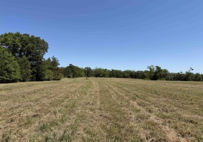 5 BETHLEHEM RD, Adamsville, Tennessee 38310, ,Land,For Sale,BETHLEHEM,10224198 5 BETHLEHEM RD, Adamsville, Tennessee 38310, ,Land,For Sale,BETHLEHEM,10224198