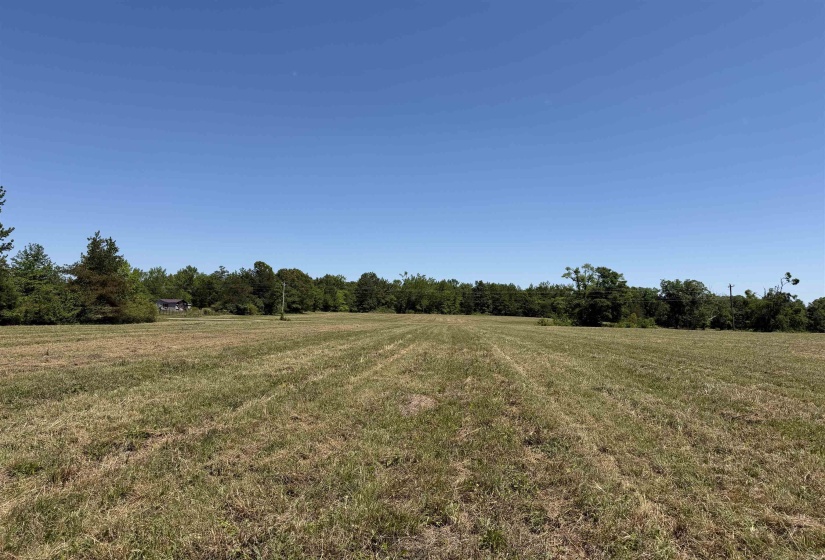 5 BETHLEHEM RD, Adamsville, Tennessee 38310, ,Land,For Sale,BETHLEHEM,10224198