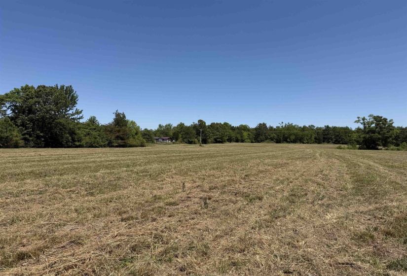 5 BETHLEHEM RD, Adamsville, Tennessee 38310, ,Land,For Sale,BETHLEHEM,10224198