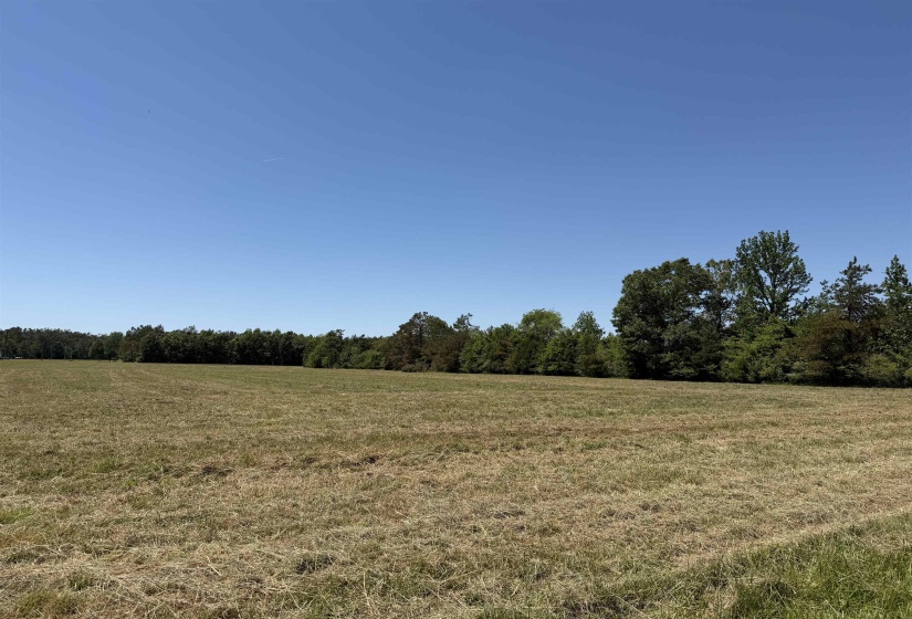 5 BETHLEHEM RD, Adamsville, Tennessee 38310, ,Land,For Sale,BETHLEHEM,10224198