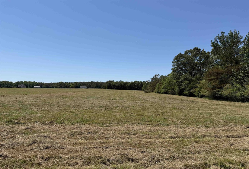 5 BETHLEHEM RD, Adamsville, Tennessee 38310, ,Land,For Sale,BETHLEHEM,10224198
