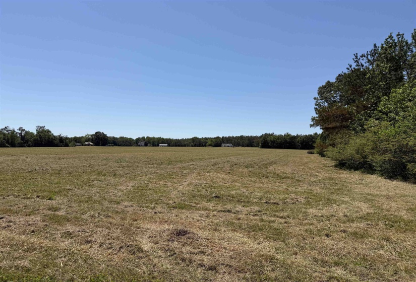 5 BETHLEHEM RD, Adamsville, Tennessee 38310, ,Land,For Sale,BETHLEHEM,10224198