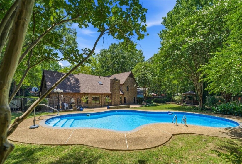 Freeform swimming pool with integrated steps, surrounded by a concrete patio, and mature trees providing natural canopy