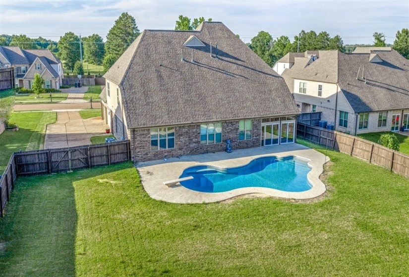 Backyard featuring a freeform swimming pool with concrete surround
