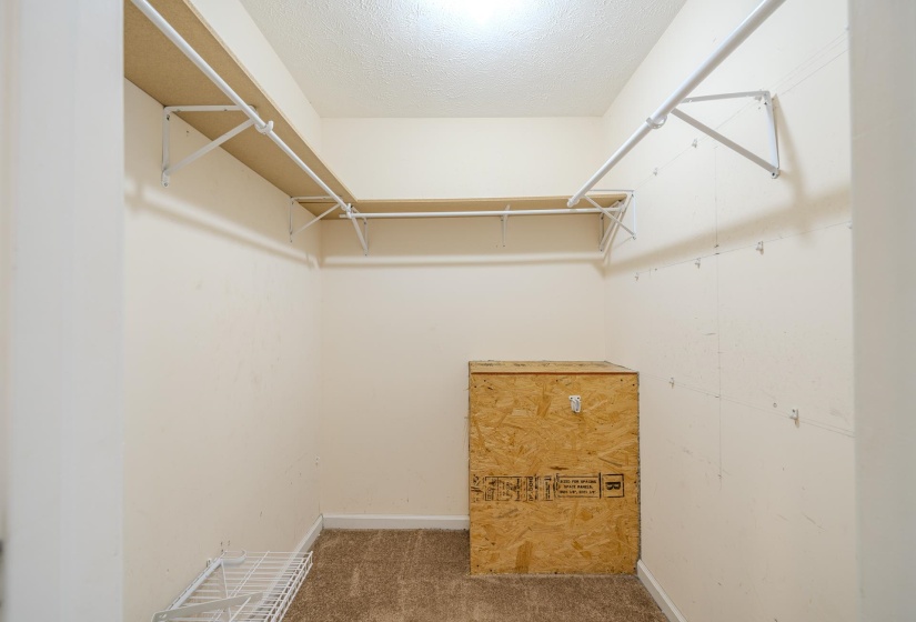 Spacious walk-in closet featuring carpet flooring and white wire shelving with hanging rods