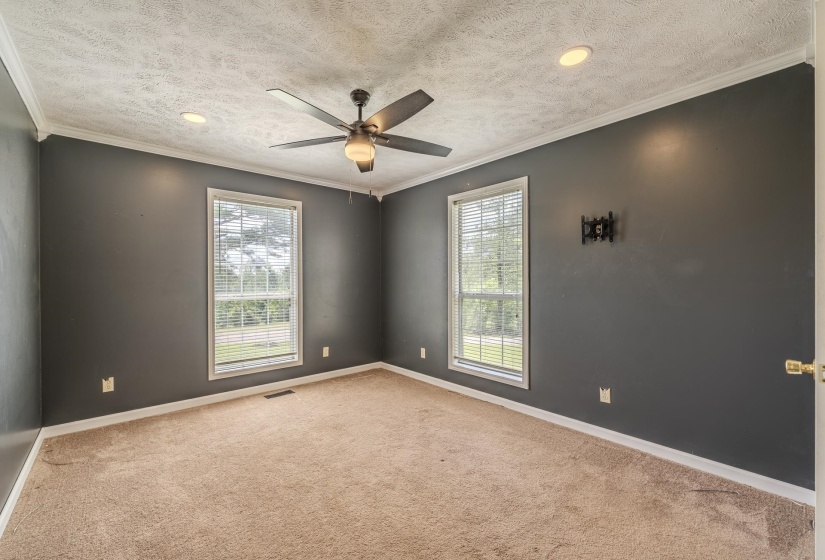 Carpeted room with dark gray walls, white trim, and two double-hung windows