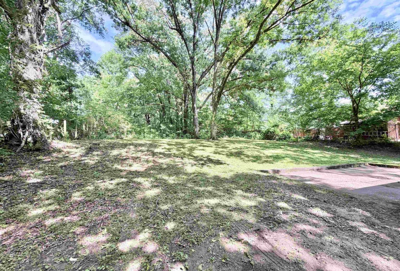 Expansive lot featuring mature trees, a partially cleared grassy area, and a paved surface