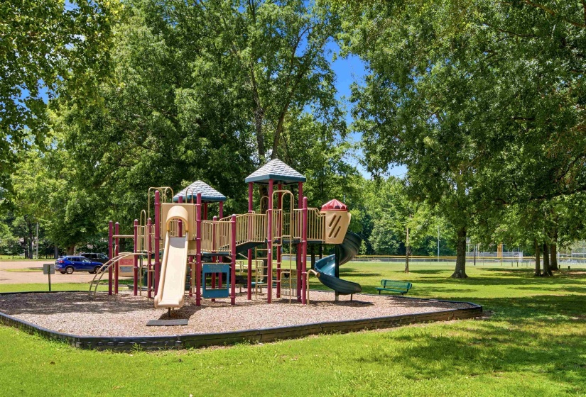 Community playground featuring a multi-level structure with slides and climbing elements