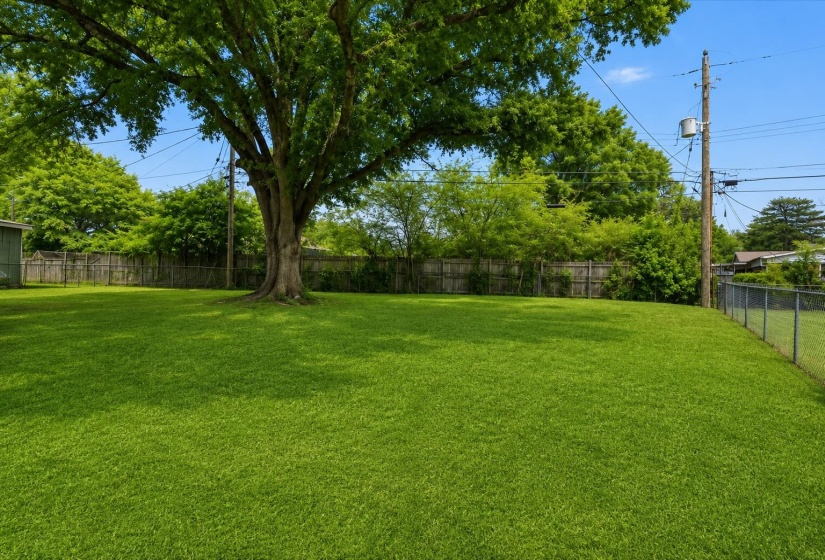Expansive grassy yard featuring a mature shade tree, full privacy fencing along the rear, and partial chain-link fencing