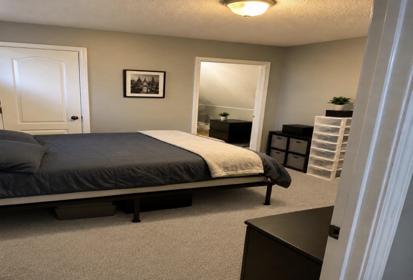 Carpeted room featuring light gray wall paint, a ceiling-mounted light fixture, and white trim