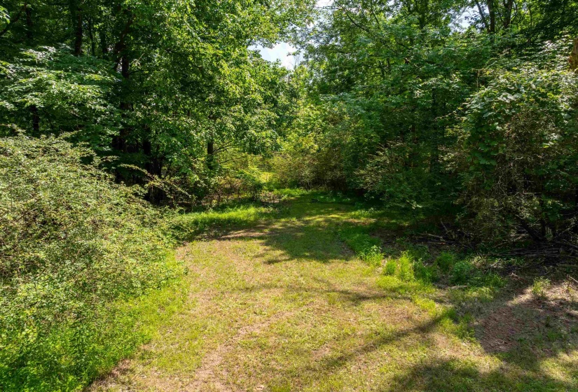 4875 FOREST HILL-IRENE RD, Unincorporated, Tennessee 38125, 0 , 0 ,0,Land,For Sale,FOREST HILL-IRENE,0,10224328
