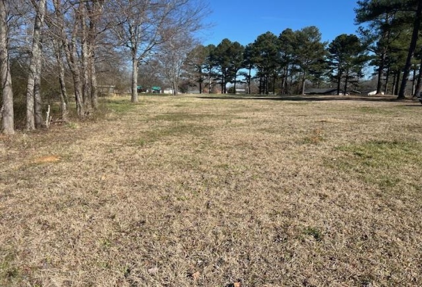 00 BLACK PLACE/BRAMBLEWOOD DR, Savannah, Tennessee 38372, ,Land,For Sale,BLACK PLACE/BRAMBLEWOOD,10224331