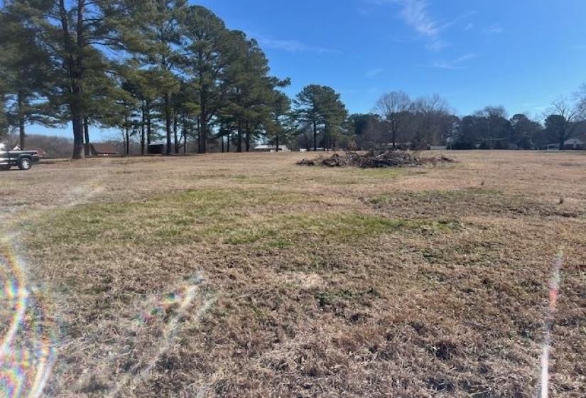00 BLACK PLACE/BRAMBLEWOOD DR, Savannah, Tennessee 38372, ,Land,For Sale,BLACK PLACE/BRAMBLEWOOD,10224331