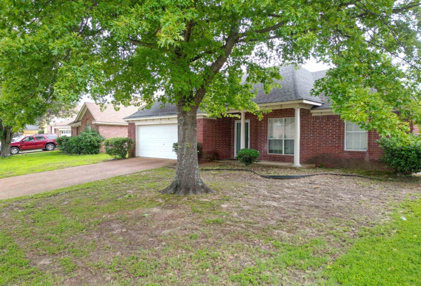 Front house