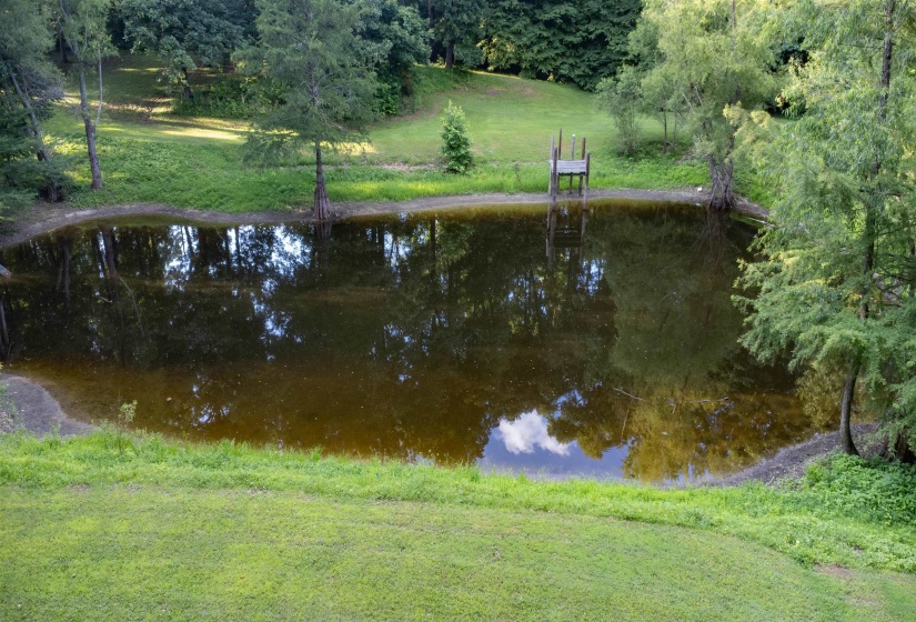 Private pond featuring a wooden dock, surrounded by mature trees and lush green landscaping