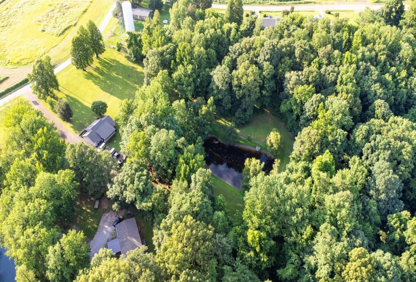 Sprawling property featuring a natural pond, extensive mature tree coverage, and open grassy areas
