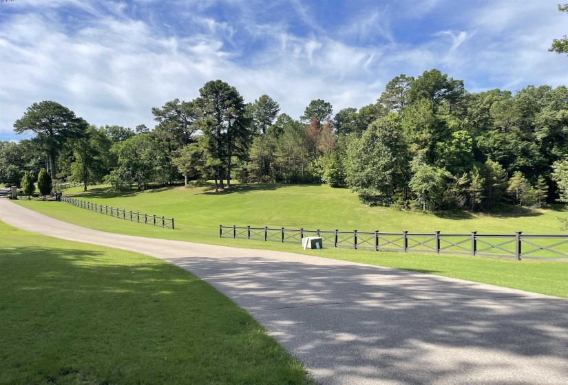 305 WICKLIFFE CREEK RD, Eads, Tennessee 38028, 0 , 0 ,0,Land,For Sale,WICKLIFFE CREEK,0,10224358