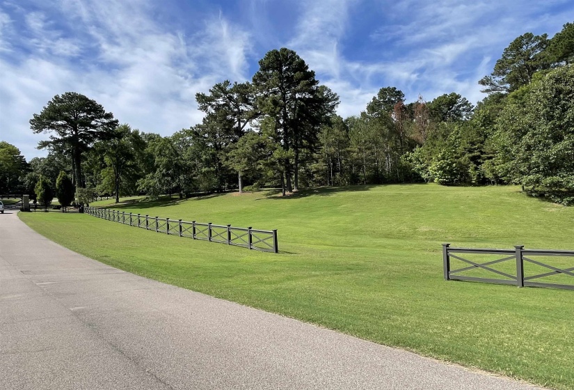 305 WICKLIFFE CREEK RD, Eads, Tennessee 38028, 0 , 0 ,0,Land,For Sale,WICKLIFFE CREEK,0,10224358